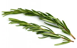 Fresh rosemary